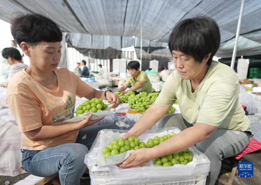 永利澳门有限公司
