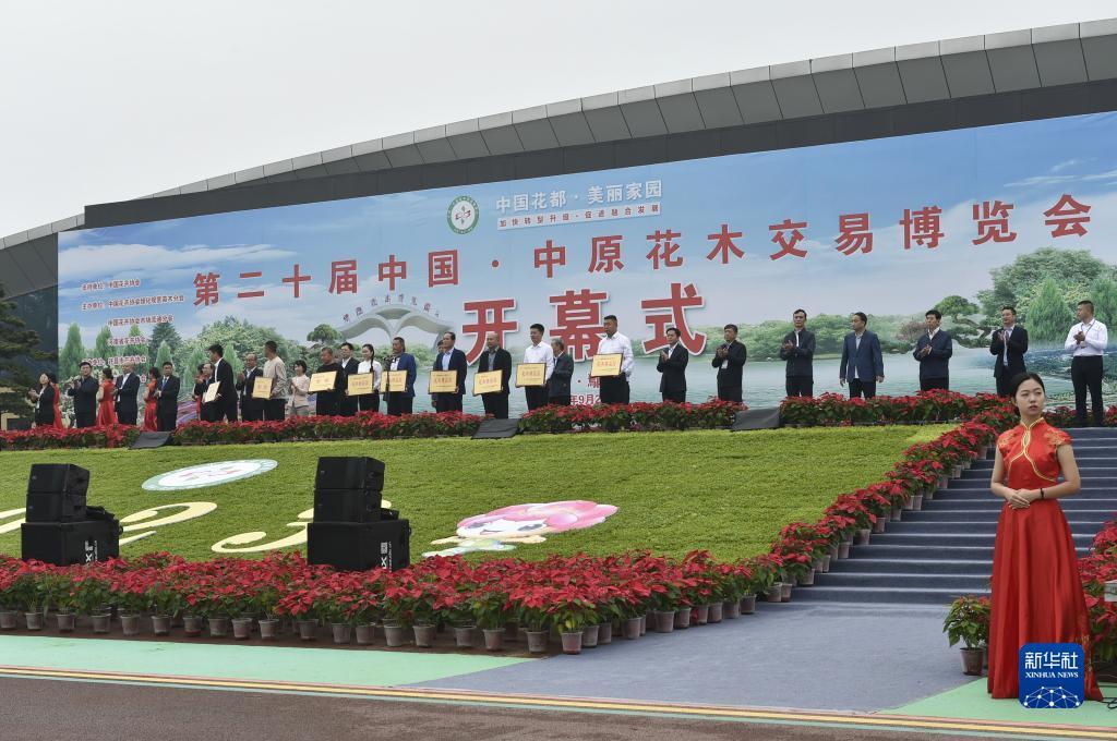 mg线上娱乐